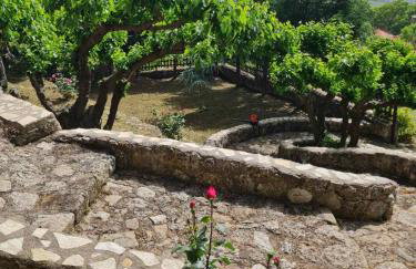 Dimitris-Vella - Foto 2