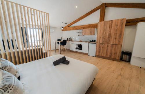 Vina Rhona - Studio de charme tout équipé entre Rhône et Vignobles de Condrieu - Foto 13