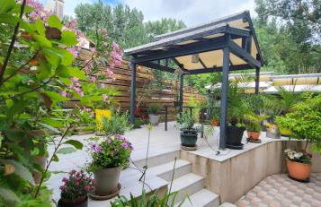 La chaume du marais poitevin avec barque green venice with boat - Foto 16