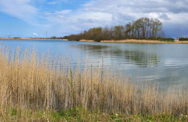 Fewo am Yachthafen - Foto 13