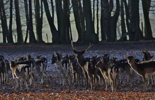 Boutique Fachwerkhaus Thirty Five - Foto 51