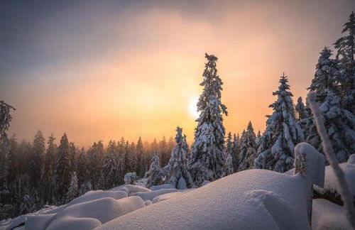 Ferienwohnungen Fichtelgrün - Foto 67