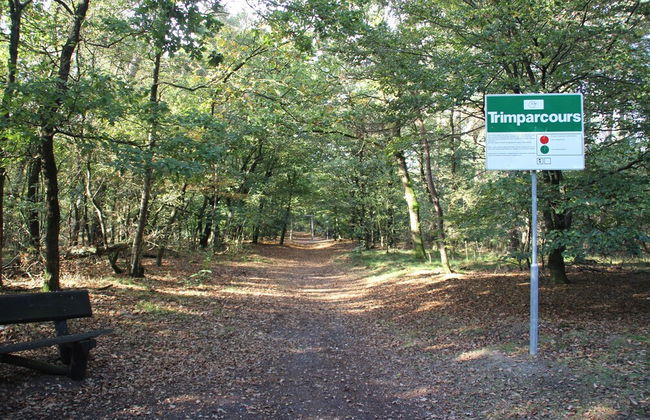 Family Farmhouse With Go-karts - Photo 34