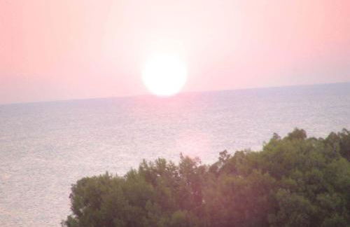 Villa Felicia - Foto 26