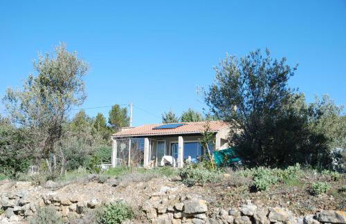 La petite Cigale - Foto 27