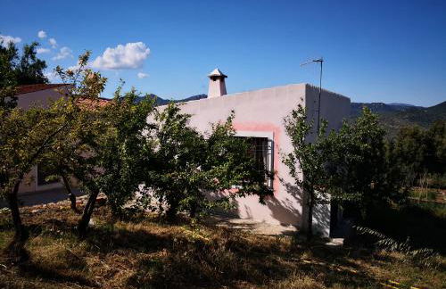 Villa Sa Pruna - Foto 18