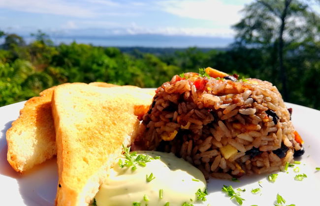 Corcovado Private Villas - Foto 66