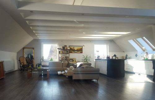 Apartamenty Holiday Slaw jacuzzi bilard - Foto 48