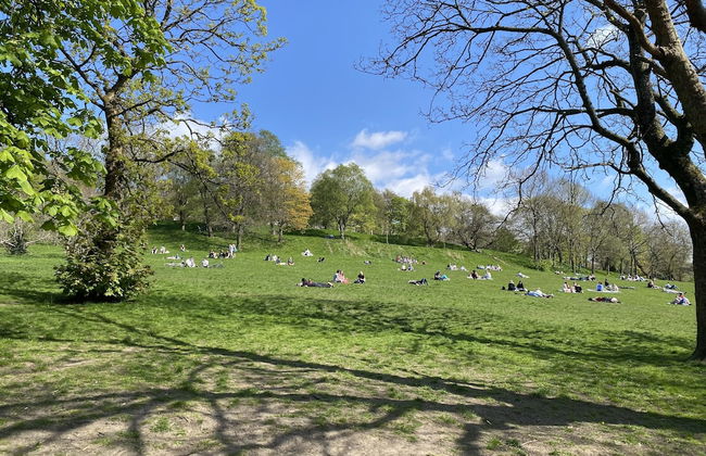 Captivating Apartment in Glasgow Westend, uk - Foto 14