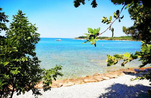 7 PALMI Novigrad - Foto 16