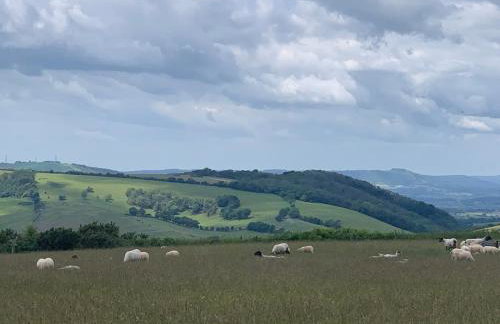 Woodside Studio - Foto 29