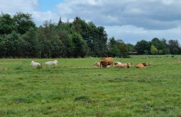 Haus Moor Merland - Foto 8