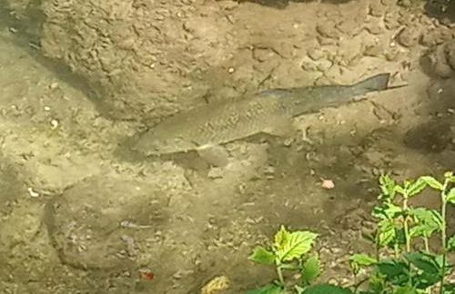 le Mas de la Jardine - Foto 24