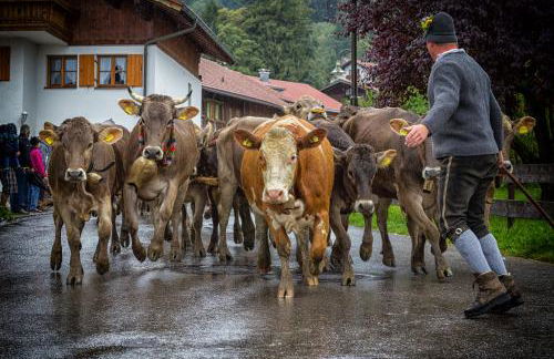 Ferienwohnung Zobl - Foto 38