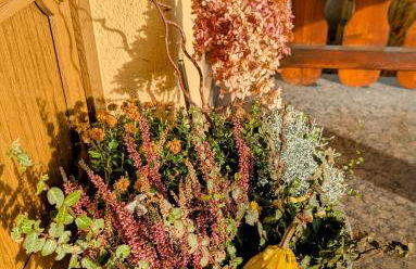 Schöne 2-Raumwohnung inklusive Infrarot-Wärmekabine - Foto 10