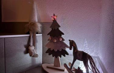 Lavanda - Photo 52
