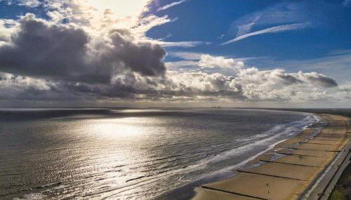 The Nest by Bloom Stays - Foto 5