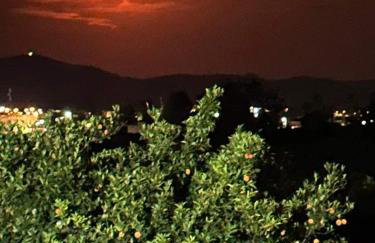 Lidas Golden View-All around veranda apartment - Photo 26