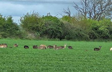 The Hideaway - Foto 9