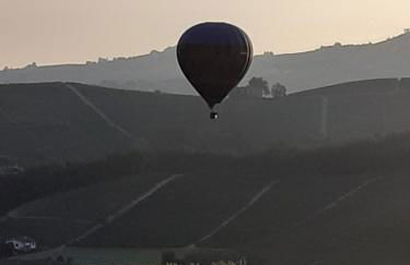 Gatti di Langa - Foto 22