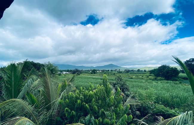 ingawale farmhouse - Photo 16