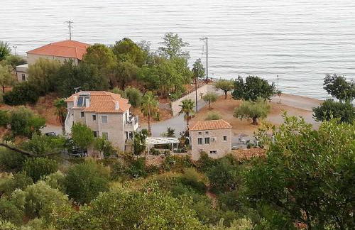 Filyra Xenonas - Foto 44