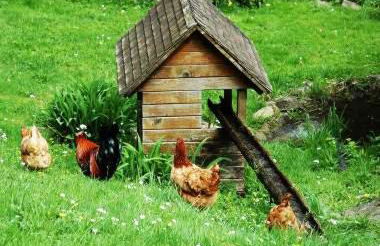 Haldenschwarzhof - Foto 13