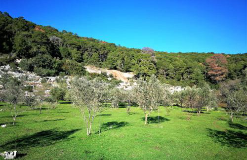 Agriculture & Holiday house Lasko - Photo 22