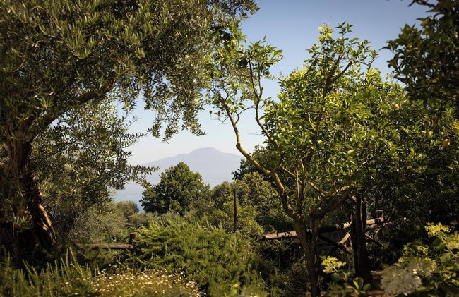 Villa Oriana Relais - Photo 73