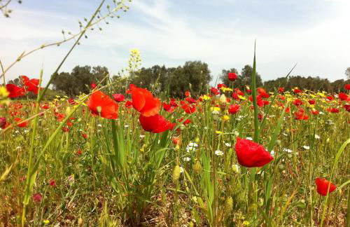 Agriturismo Mele - Foto 29