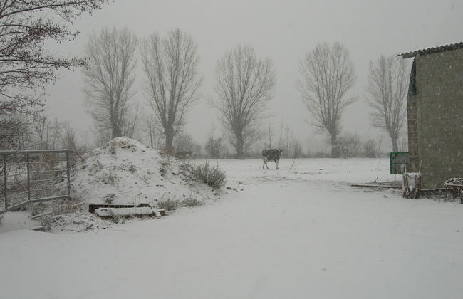 Mas d'Aravó - Foto 40