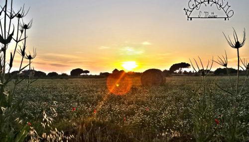 Agriturismo San Matteo - Foto 1, Garden