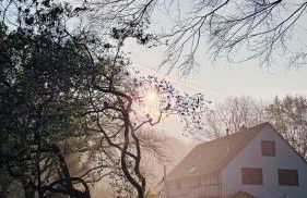 FeWo im Vest - Foto 22