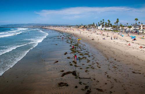 Newly Renovated 3BR Modern Apt in Heart of Ocean Beach - Foto 5