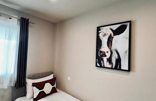 les colibris - Foto 17