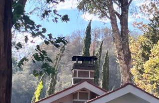 Quinta da Hortigueira - Country House - Foto 23