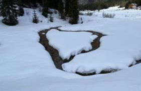 Il Cadorino - Foto 45