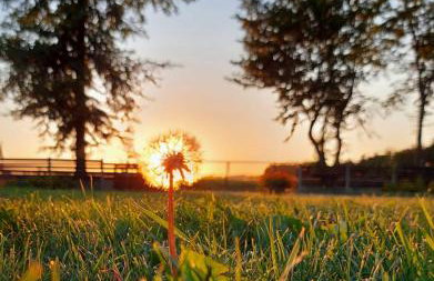 Osada Natura - Photo 69