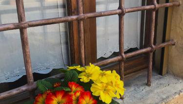 Le Ortensie Lago di Garda - Foto 2