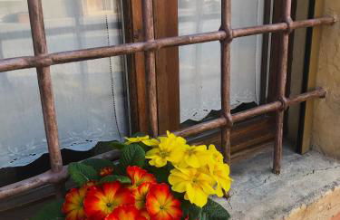 Le Ortensie Lago di Garda - Foto 35