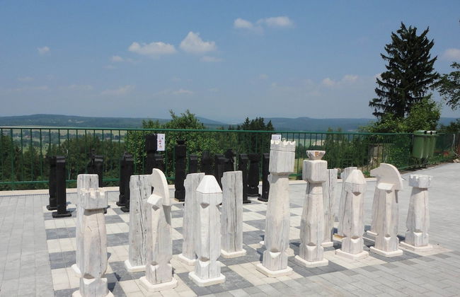 Chalet in Dolni Brusnice Near Ski Lift - Photo 27