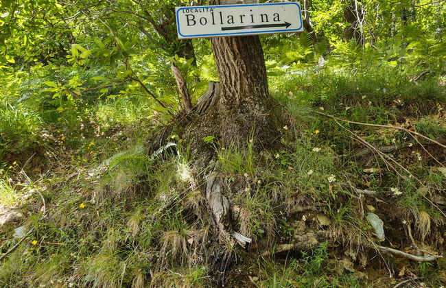 Baita dei Nonni - Foto 26