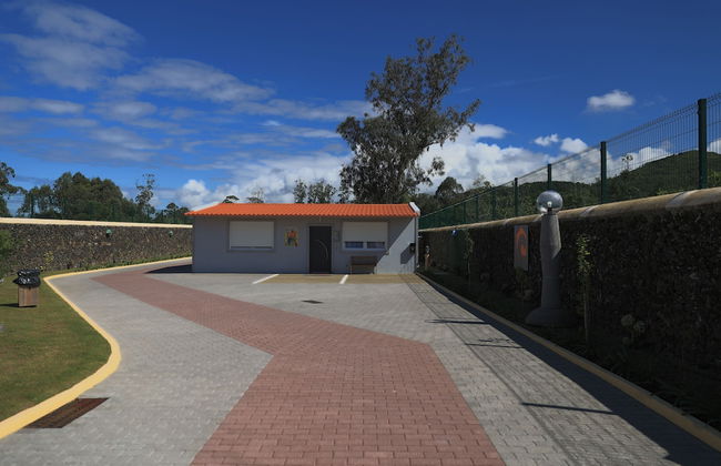 Parrots Village - Foto 32