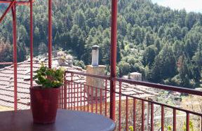 Forrest Guesthouse - Foto 37