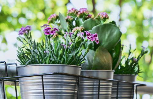 Apartment SCHILLER I - Erfurt Zentrum - Foto 17