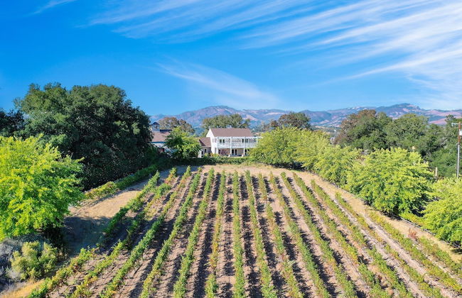 Sonoma Sunshine by Avantstay Countryside Views - Foto 47