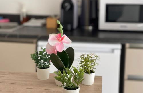 Weseler Wirtshaus Appartements - Foto 81