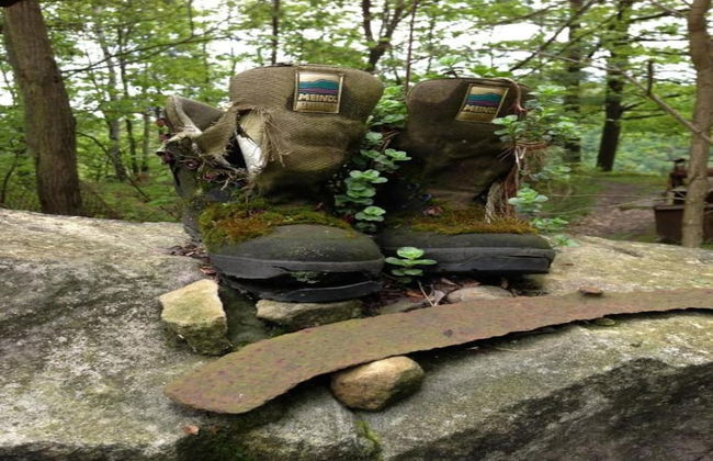 Ferienhaus in Lichtenhain - Foto 39