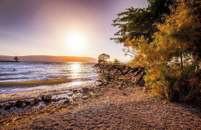 Mia Glamping Kinneret - Foto 23