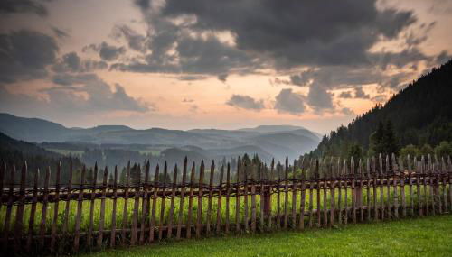 Biohof Oberwerkstatt HAIDI - Foto 5